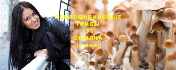 МДПВ Лагань