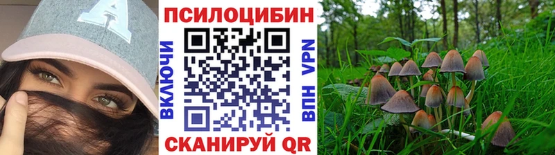 Галлюциногенные грибы ЛСД  Купить закладки  Ростов 