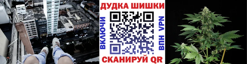 Купить  Ростов  Шишки марихуана марихуана 